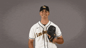 Cal State La Baseball GIF by Cal State LA Golden Eagles