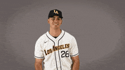 Cal State La Baseball GIF by Cal State LA Golden Eagles