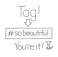 you are beautiful love GIF by Chippy the Dog