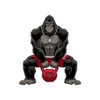 Gorillajoe Sticker by World Gym