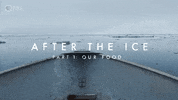 Marine Life Ice GIF by PBS Digital Studios