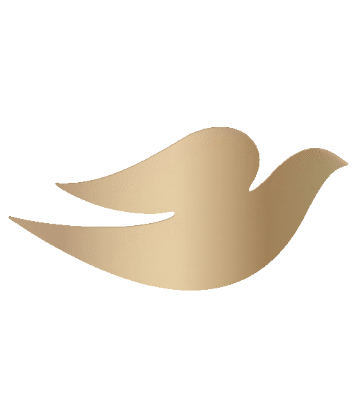 Dove Sticker by UnileverSL