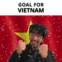 Vietnam Goal GIF