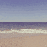 app ios GIF by Ryan Seslow