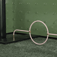 gambadeclub fun animation loop 3d GIF
