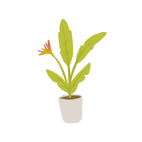 Bird Of Paradise Plant Sticker by Elowyn