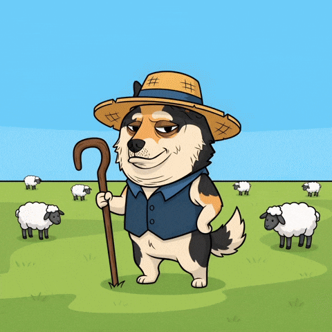 Straw Hat Dog GIF by Doge Pound