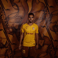 Football Sport GIF by SC Braga