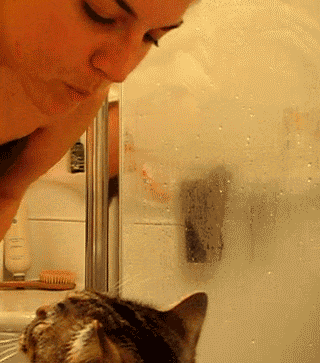 cat woman GIF