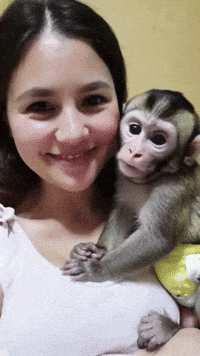 Monkey Kiss GIF by systaime