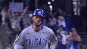 Chicago Cubs Sport GIF by TheDreamTeam 
