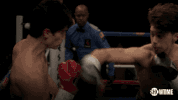showtime tv showtime drama ray donovan GIF