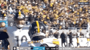 Pittsburgh Steelers Football GIF by NFL