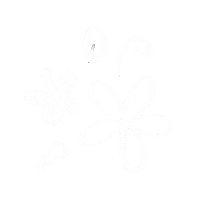 Coffee Flower Sticker