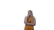 Womens Basketball Agree Sticker by Cal Athletics