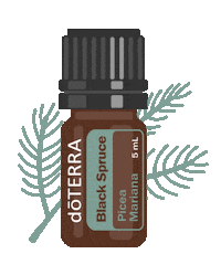 Black Spruce New Products Sticker by doTERRA Essential Oils