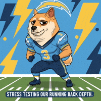 Shiba Inu Football GIF by Doge Pound