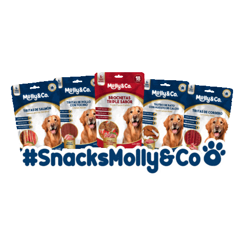 Mollyandco molly mollyco mollyandco snacksmolly Sticker