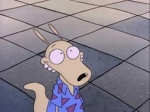 rockos modern life nicksplat GIF