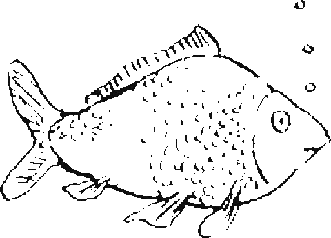 Fisch Sticker by Krainer Hotel Restaurant Café