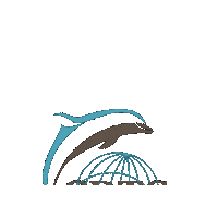 Cdtc Sticker by Dolphin Therapy Curacao