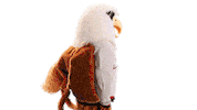 seton hill griffins Sticker by Seton Hill University