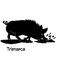 TrimarcaAG pig schwein piglove thinkpig Sticker