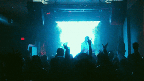 GIF by Domani