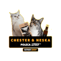 Cat Kot Sticker by Sztosy.co