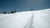 Snow Wow GIF by Outside TV