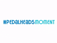 pedalheads pedalheads learntoswim pedalheadsmoment trainingwheels GIF