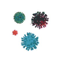 Singapore Vaccination Sticker by Temasek Foundation