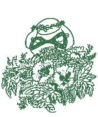 Nvfeixia Sticker