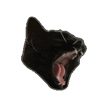 Screaming Black Cat Sticker
