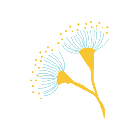 Travel Sticker by Australia