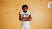 Georgia Tech Football GIF by Georgia Tech Yellow Jackets