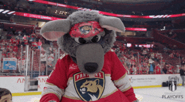 Stanley Cup Playoffs Win GIF by NHL