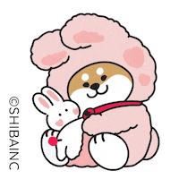 Fun Love Sticker by SHIBAINC