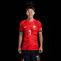 Fifa World Cup Kfa GIF by Respective