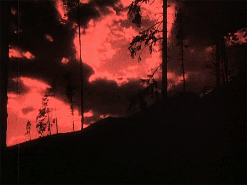 on fire art GIF
