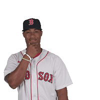 Red Sox Baseball Sticker by Boston Red Sox