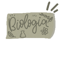 Estudos Studygram Sticker