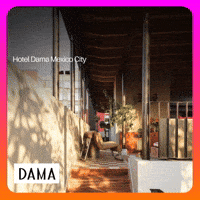 Mexico Dama GIF by Bundle It