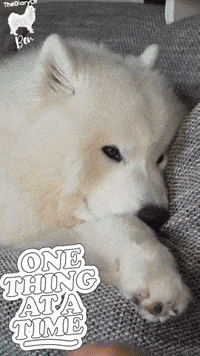 Netflix Chilling GIF