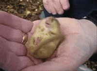 video snoring GIF