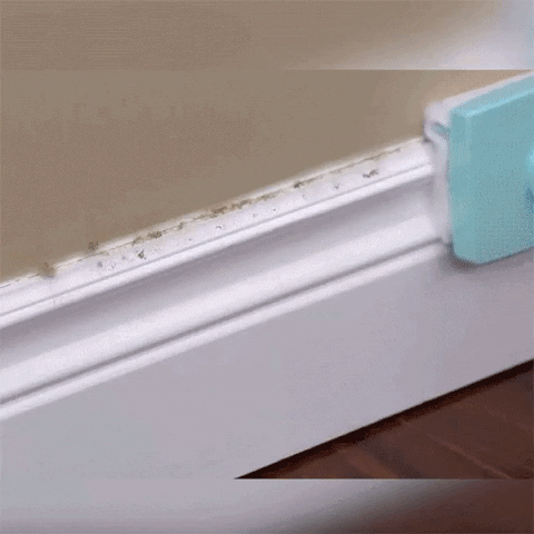 videoExempel giphygifmaker GIF