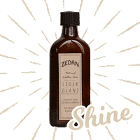 Horse Shine Sticker by ZEDAN