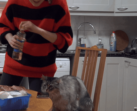 kukara4a giphyupload GIF