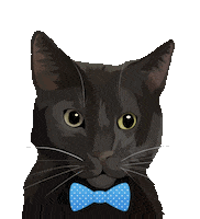 Cat Adopt Sticker by Watertown Humane Society