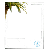 darsenaloungebar summer sea polaroid puglia Sticker